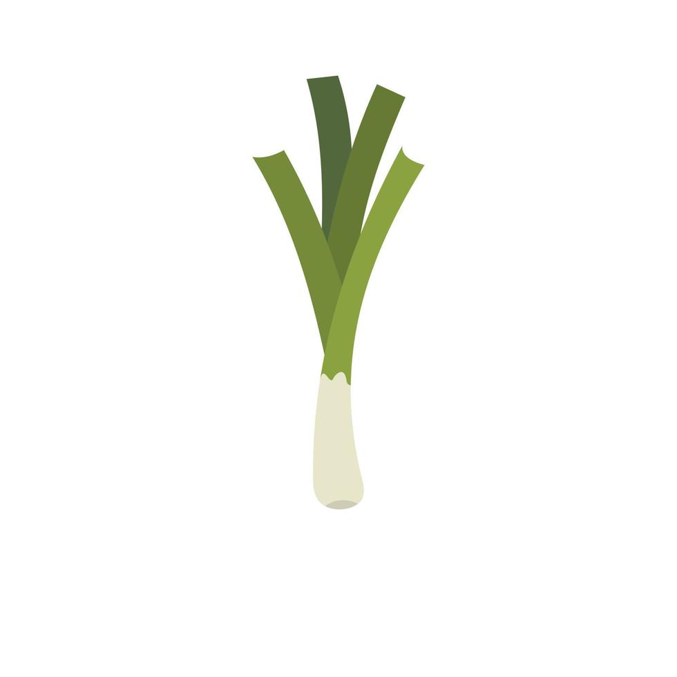 Leek icon, flat style. vector