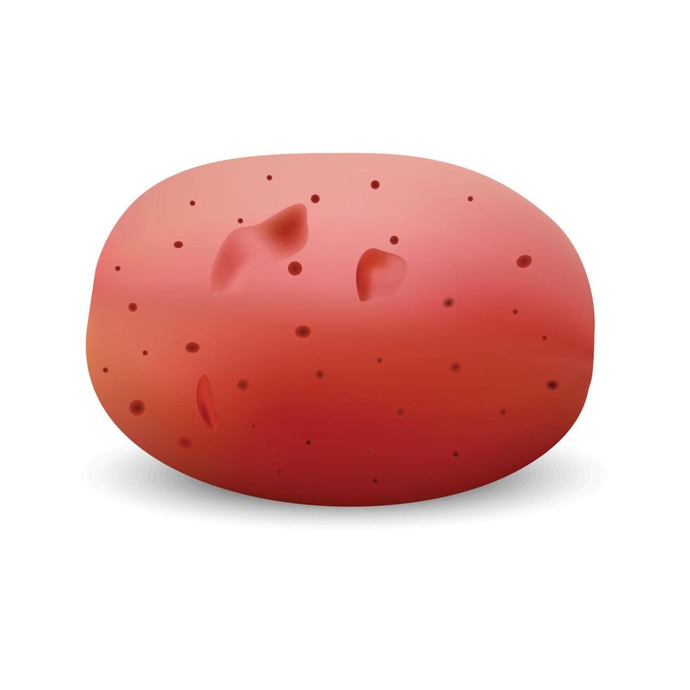 Red potato mockup, realistic style vector