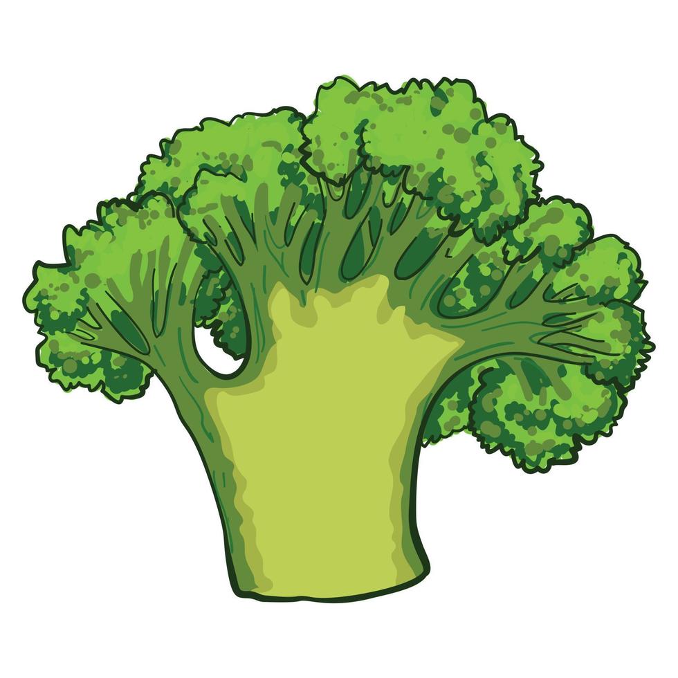 Green broccoli icon, cartoon style vector