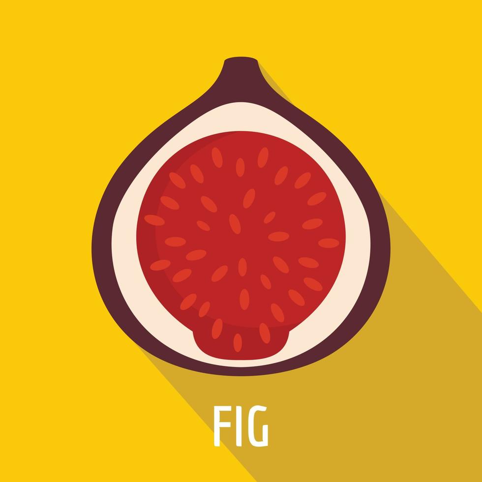 Fig icon, flat style vector