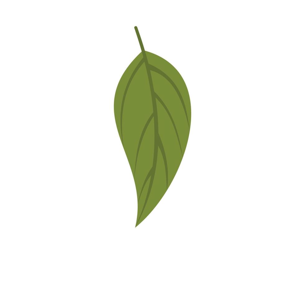 Dogwood leaf icon, flat style vector