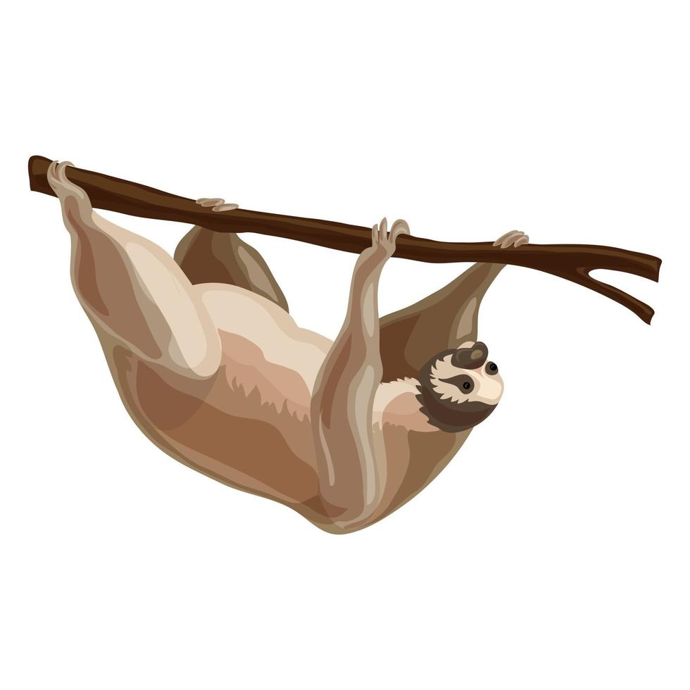 Sloth icon, cartoon style vector