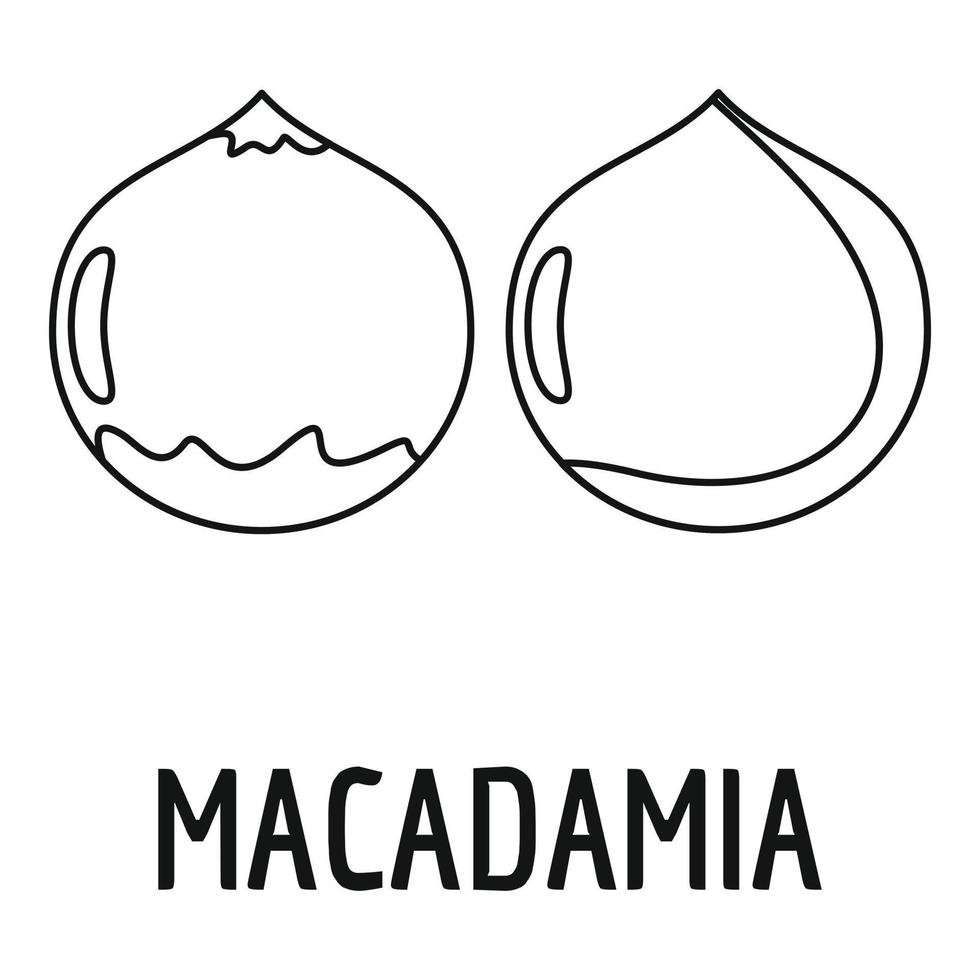 icono de macadamia, estilo de contorno vector