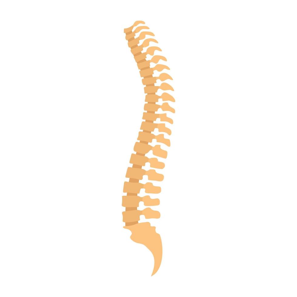 icono de la columna vertebral, estilo plano vector
