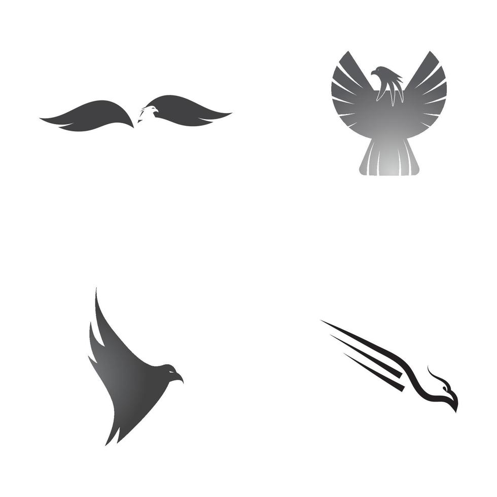 Falcon Eagle Logo Template vector illustration design