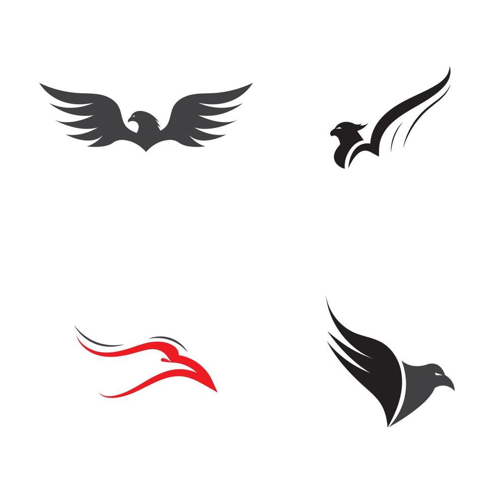 Falcon Eagle Logo Template vector illustration design