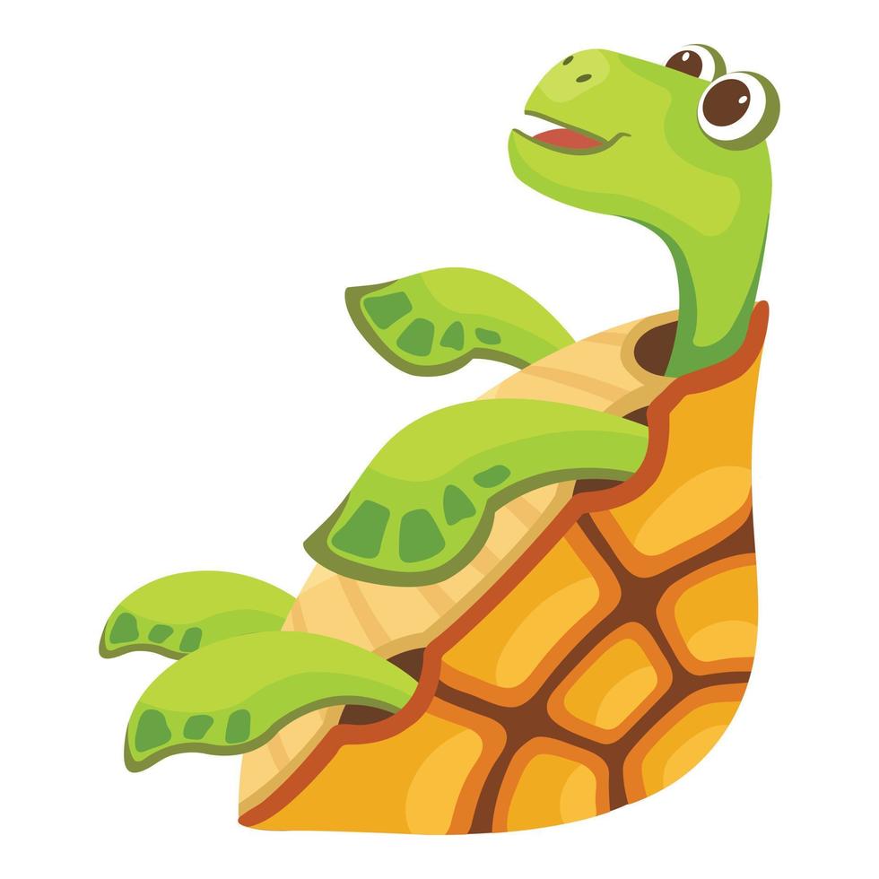 Beautiful turtle icon, cartoon style vector