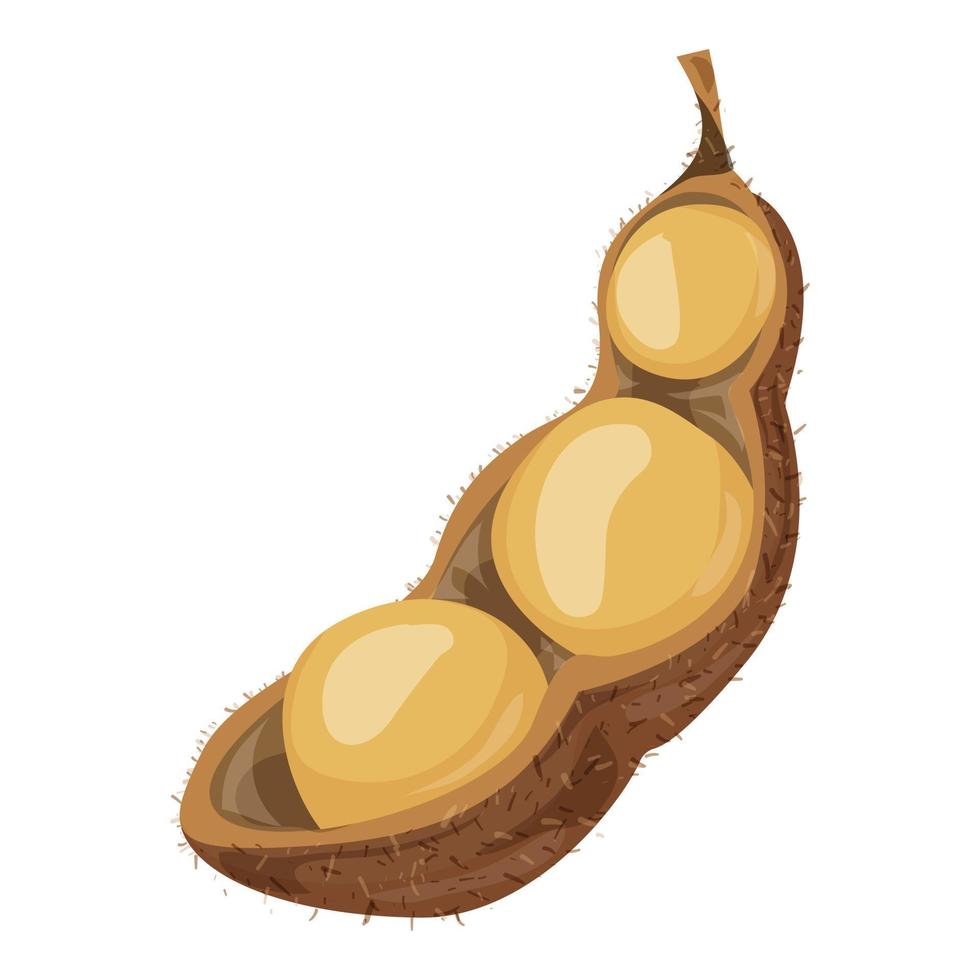 Brown soybean icon, cartoon style vector