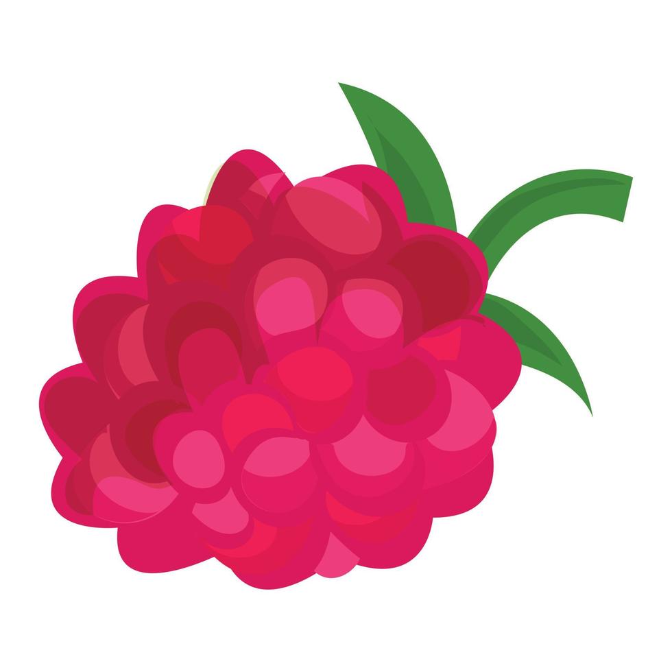 Raspberry icon, cartoon style vector