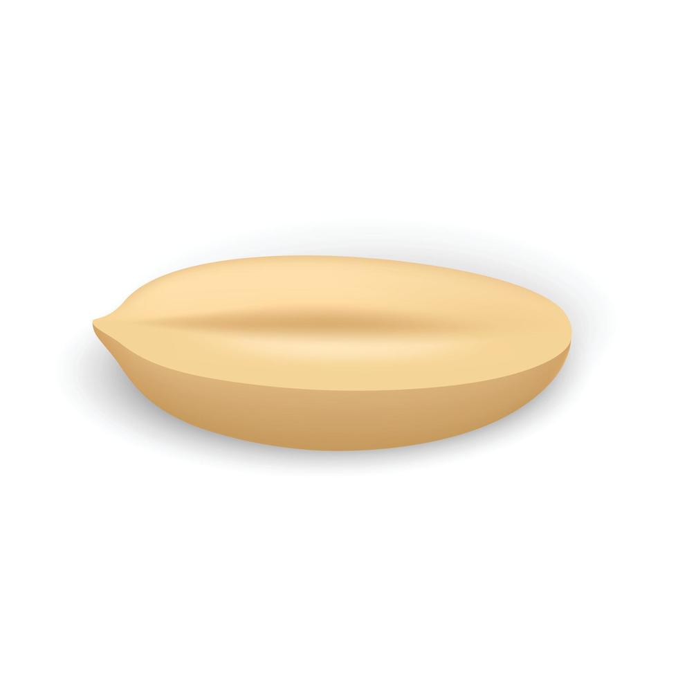 Half clean peanut icon, realistic style vector