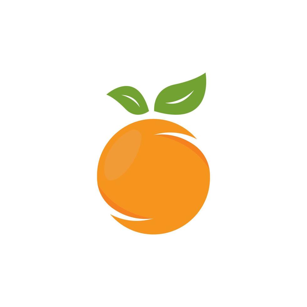 Orange template logo design. Vector