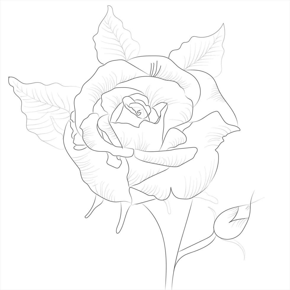 dibujo a mano alzada flor rosa con fondo blanco. vector