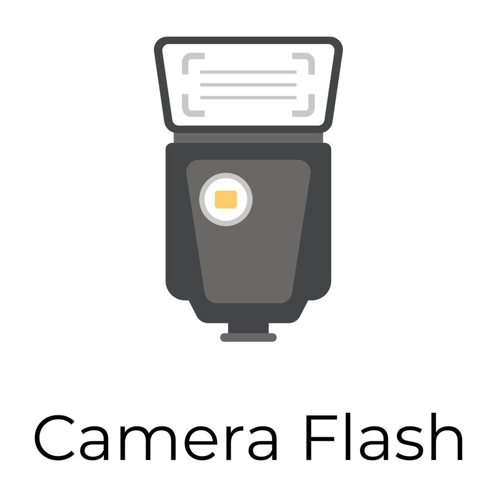 Trendy Camera Flash vector