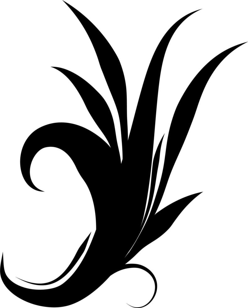 Calligraphic swirl element vector