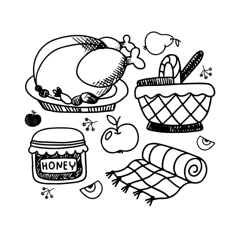 Hand drawn picnic outline elements. vector