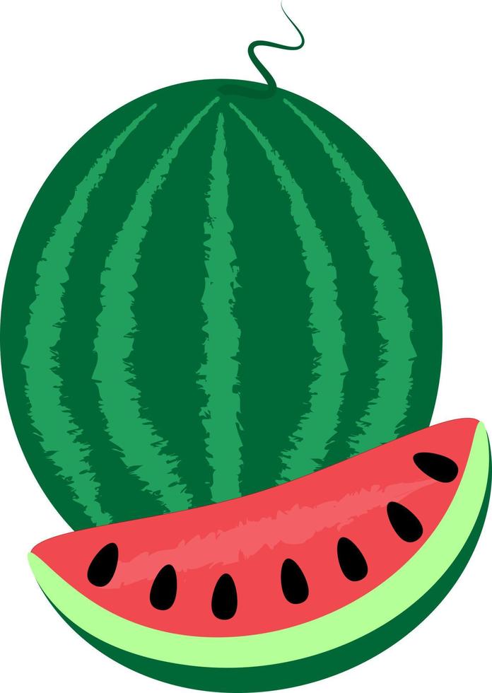 juicy ripe red green watermelon vector