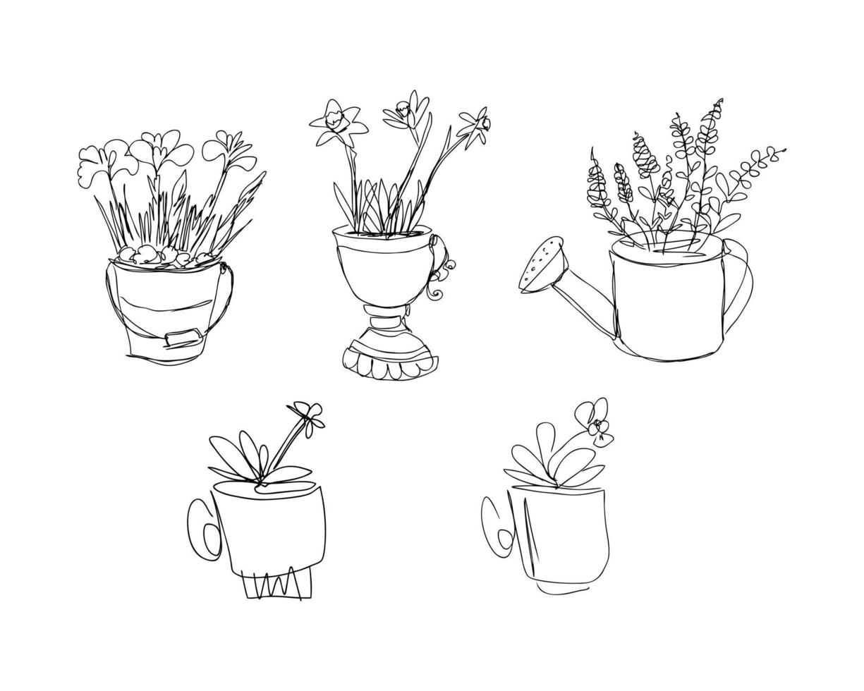 Blooming spring flowers crocuses, lavender, daffodils, daisy and pansy lineart collection. vector