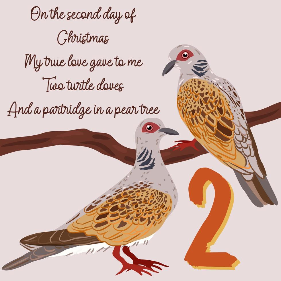 The twelve days of Christmas. Second day. Two turtle doves. vector