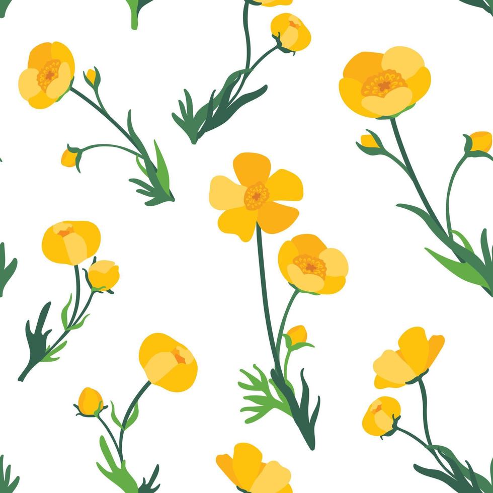 Buttercup seamless pattern. Hand drawn vector illustration. Suitable for web background, gift paper, fabric or textile.