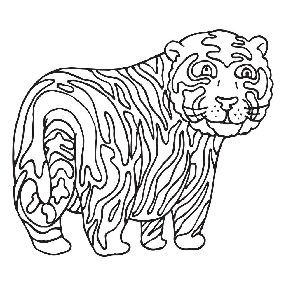 a huge fat tiger looking back vector