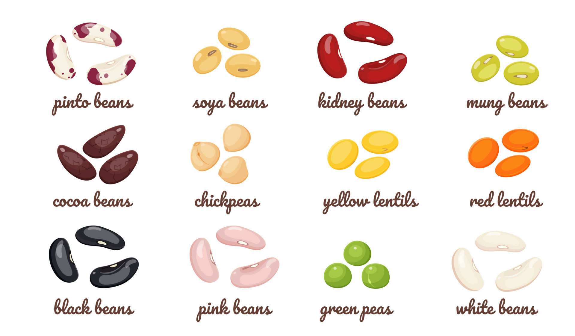 Types Of Beans