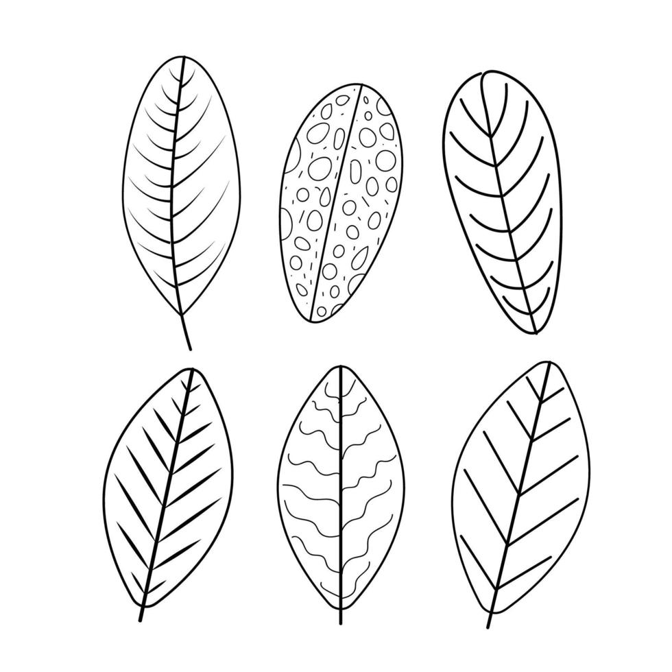 Set of leaves elements. Tropical leafes vector