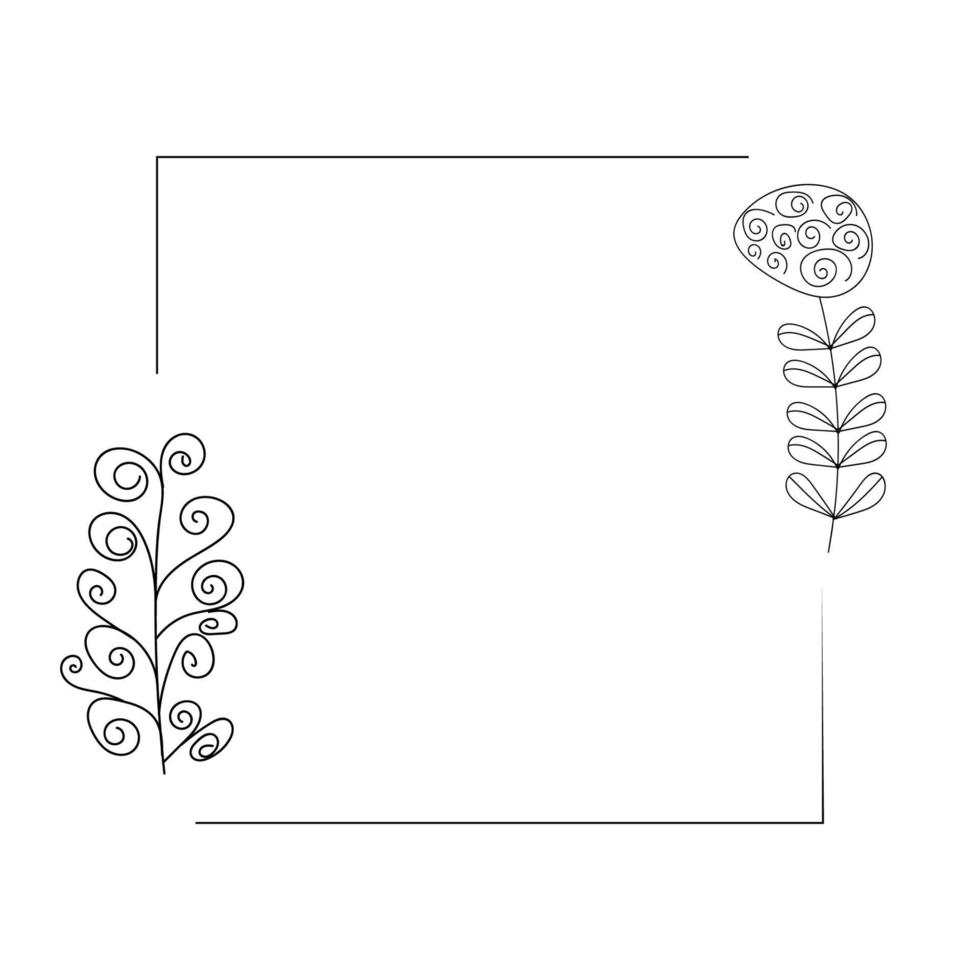 Botanical flowers frame. Vector Illustration. Frames, Circles