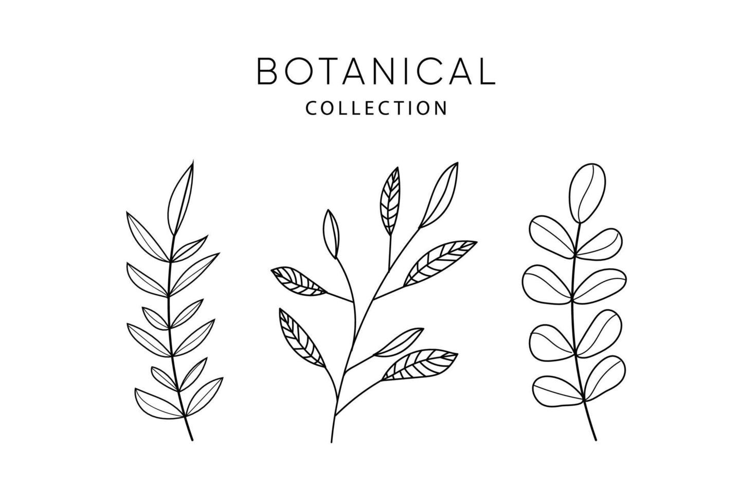 Set of leaves doodle elements. vector