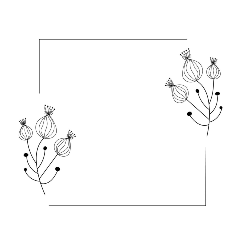 Botanical flowers frame. Vector Illustration. Frames, Circles