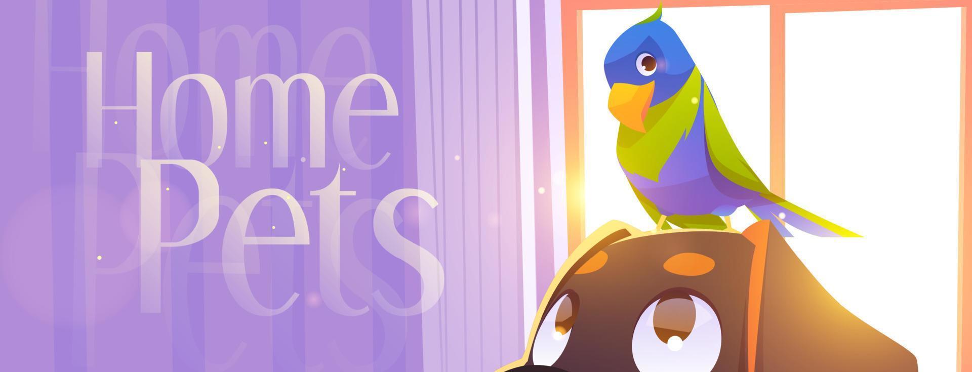 Home pets cartoon banner parrot sit on dog head vector