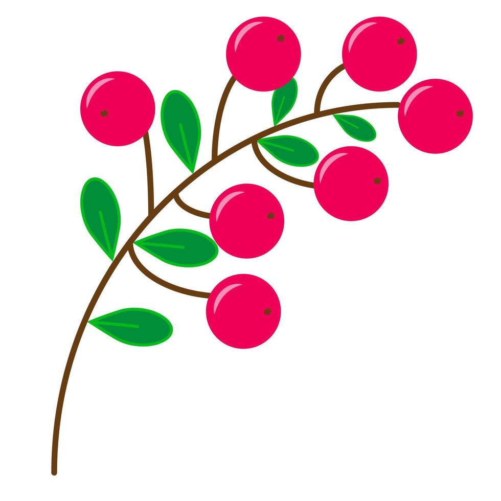 a sprig of red sweet cranberry berries vector