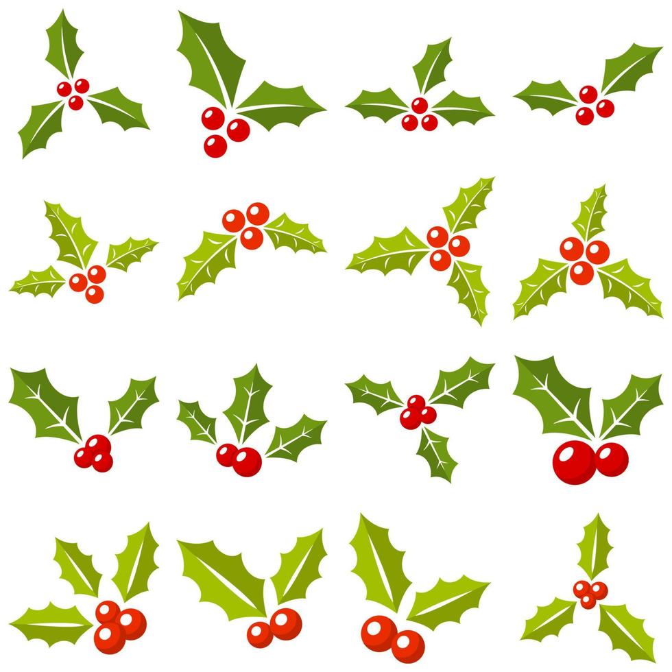 Set of holly berries in flat style isolated vector