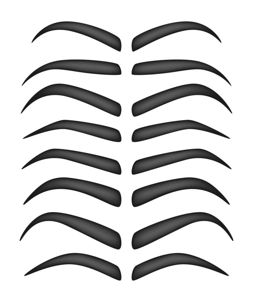 Set of Eyebrow shapes on white background vector