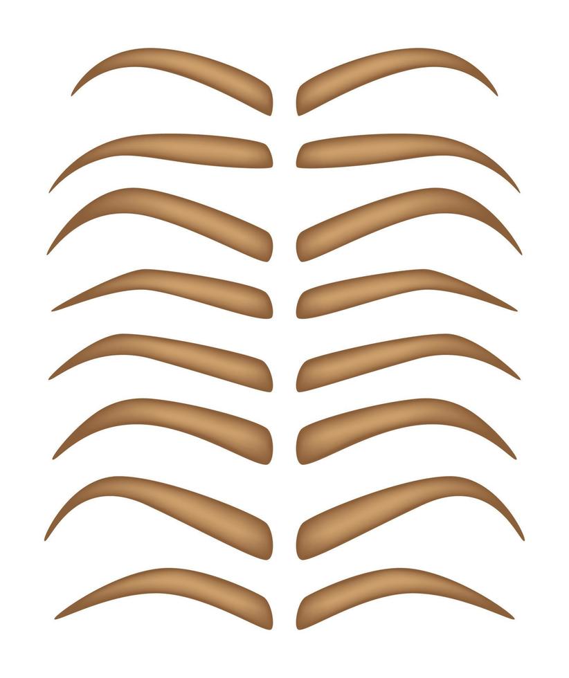 Set of Eyebrow shapes on white background vector