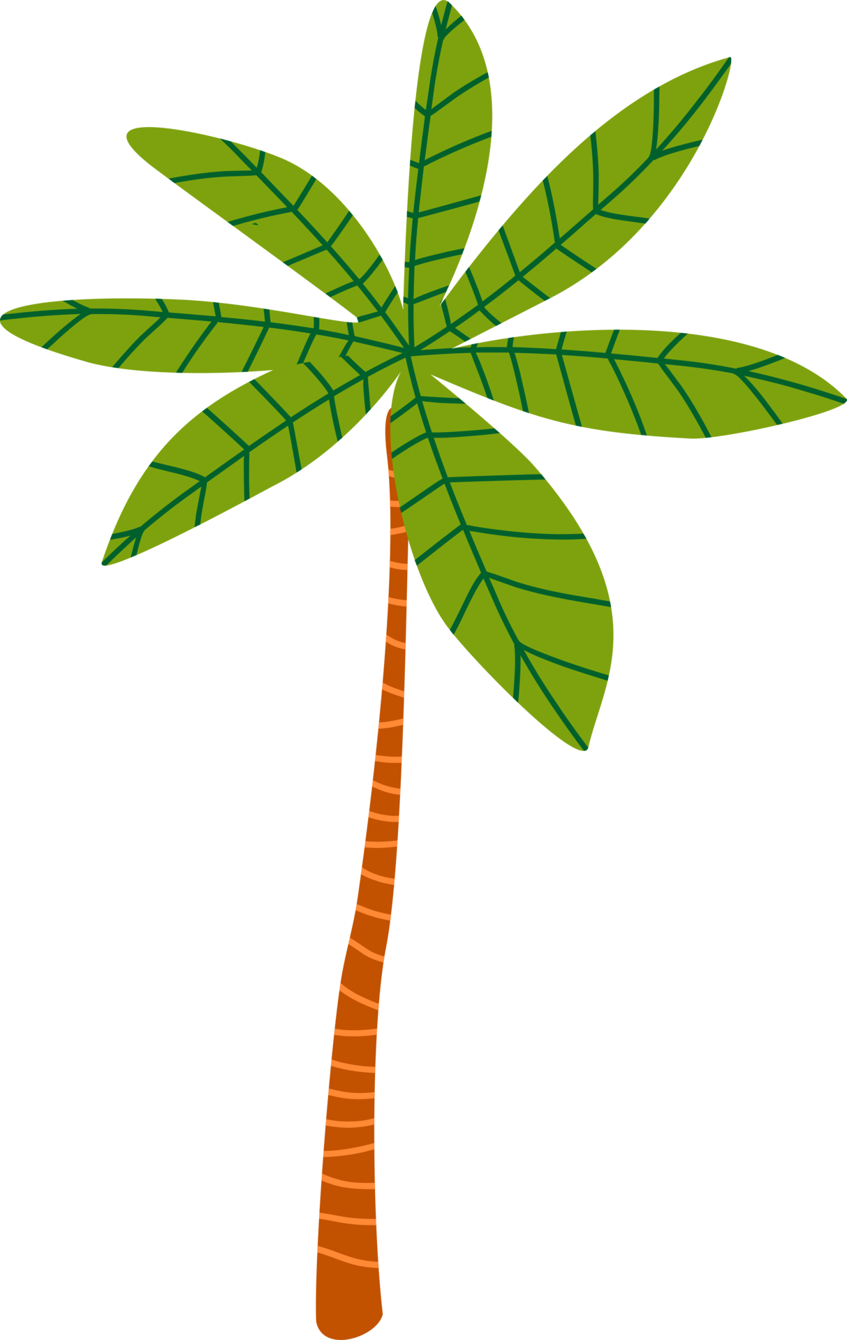 Palm tree. Illustration 14441212 PNG