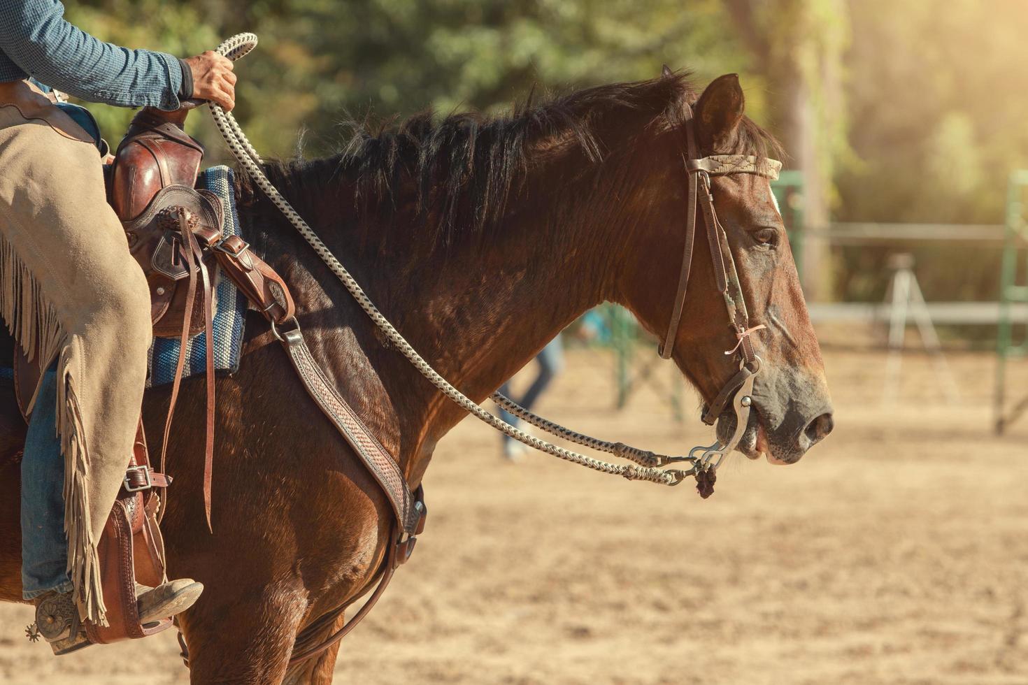 Horse riding of cowboy in the farm photo