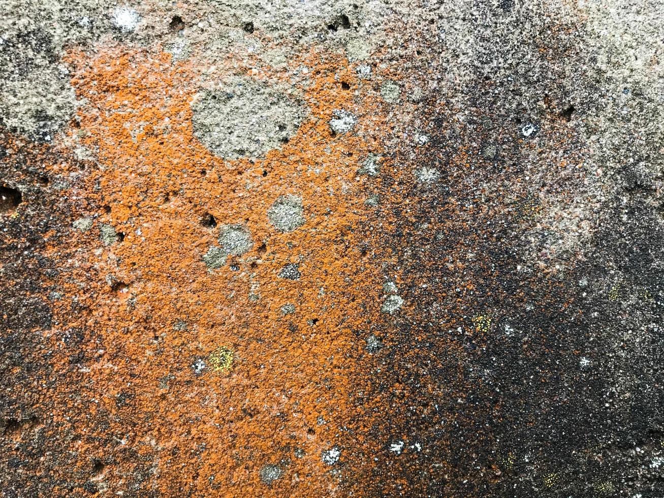 natural texture, a piece of stone. natural natural color. orange rust prevails. texture for creativity, place for inscriptions. rusty, painted background, holes in the texture photo