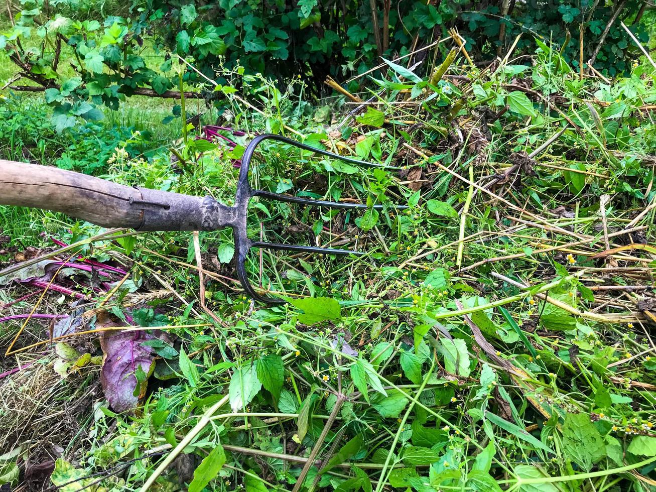 pile with grass and fertilizers. replenishment of the heap with a pitchfork. the farmer is improving his site. garden work creating eco-friendly fertilizers for plant growth and development photo