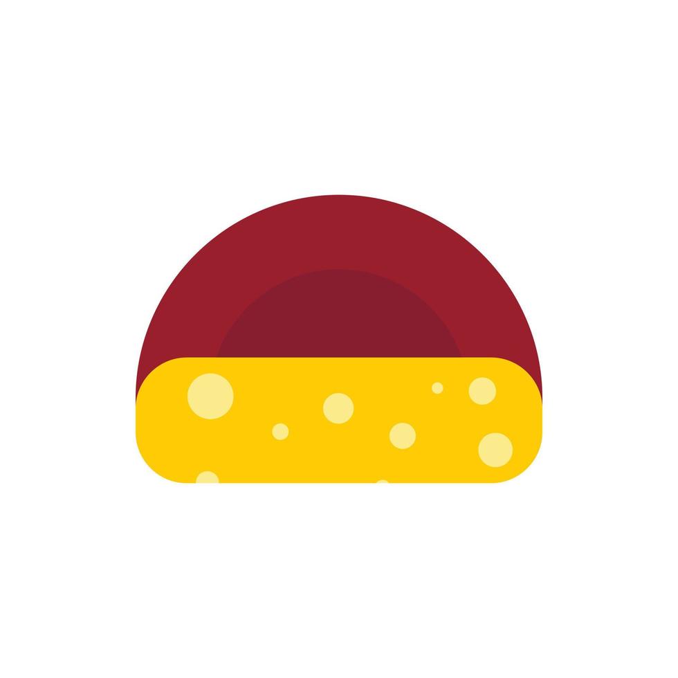 Cheese icon in flat style vector