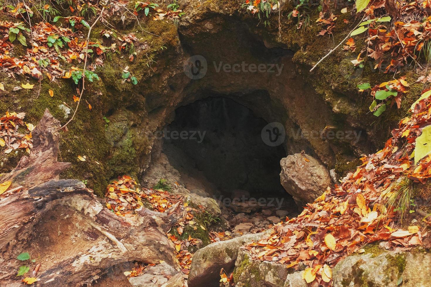 Large cave entrance in the autumn forest. photo