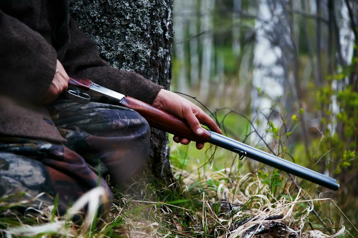 primer plano de escopeta en manos de un cazador sentado al acecho. esperando el juego foto