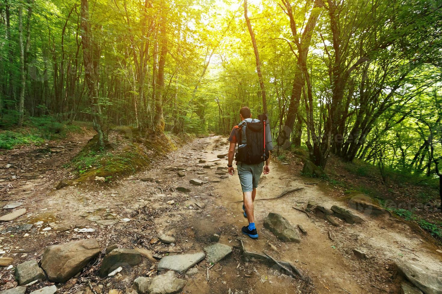 A traveler with a backpack in the spring forest on the path looks ahead. Sunlight through the crowns of trees. photo