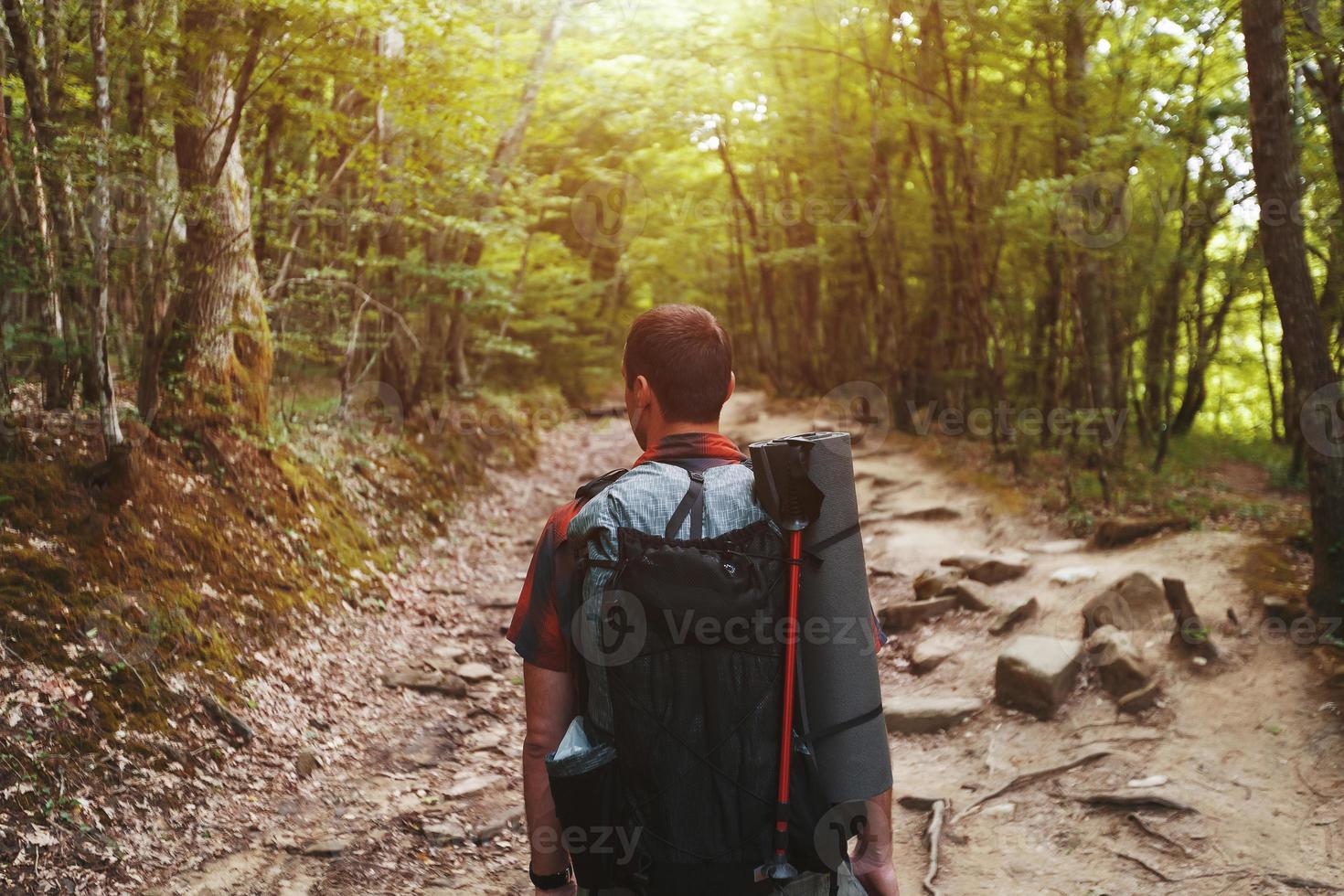 A traveler with a backpack in the spring forest on the path looks ahead. Sunlight through the crowns of trees. photo