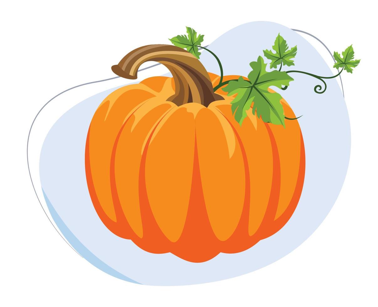 vector de dibujos animados de calabaza para la educación sobre frutas y verduras saludables. vectores de diseño plano