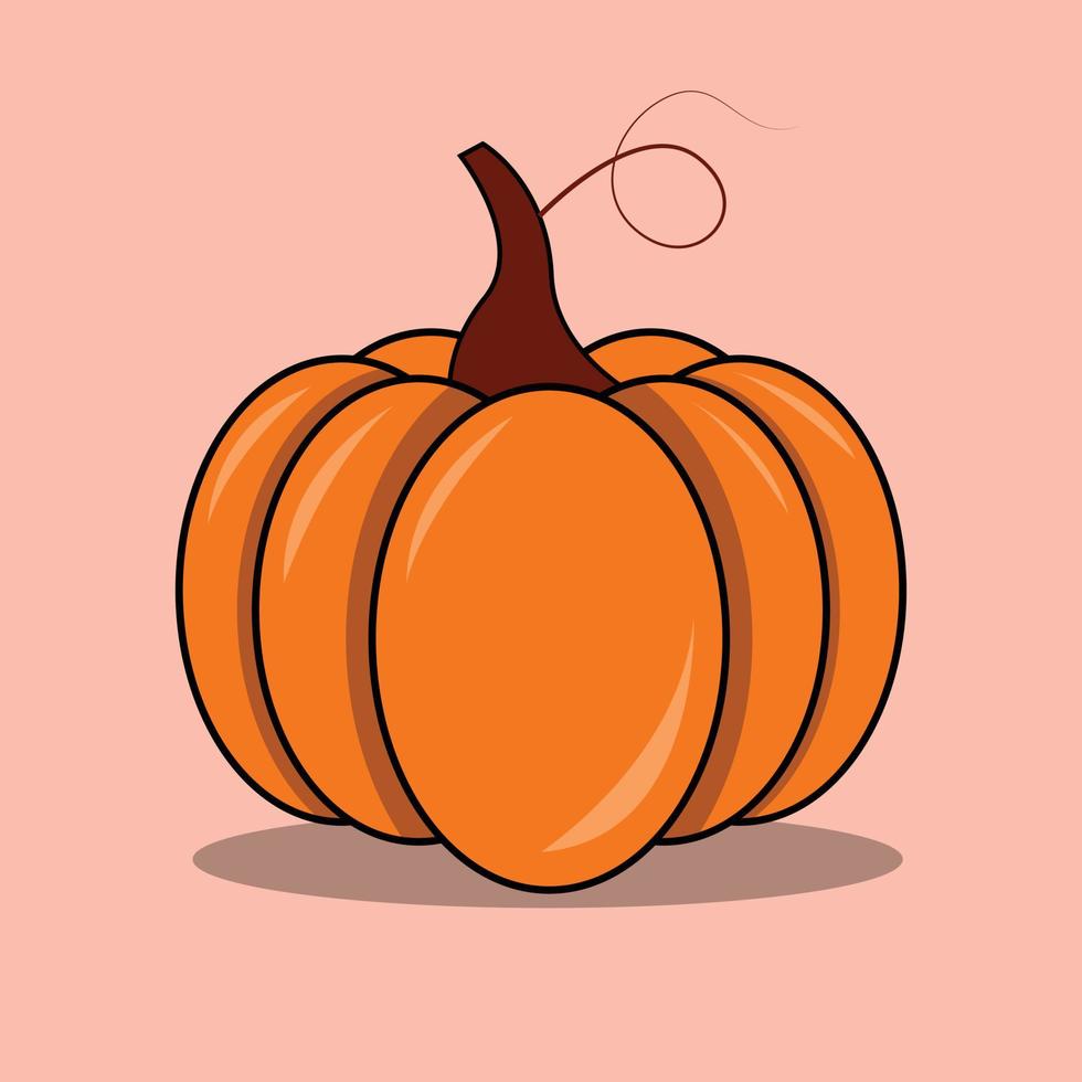 Pumpkin of various shapes and colors. Thanksgiving vector