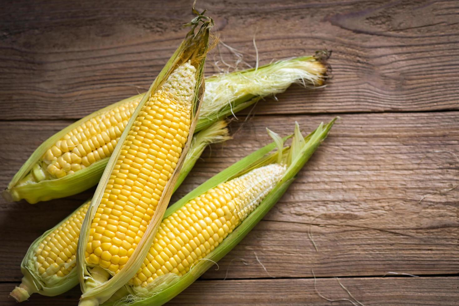 Corn on the cob, sweet corn for cooking food, fresh corn on wooden background, harvest ripe corn organic - top view photo
