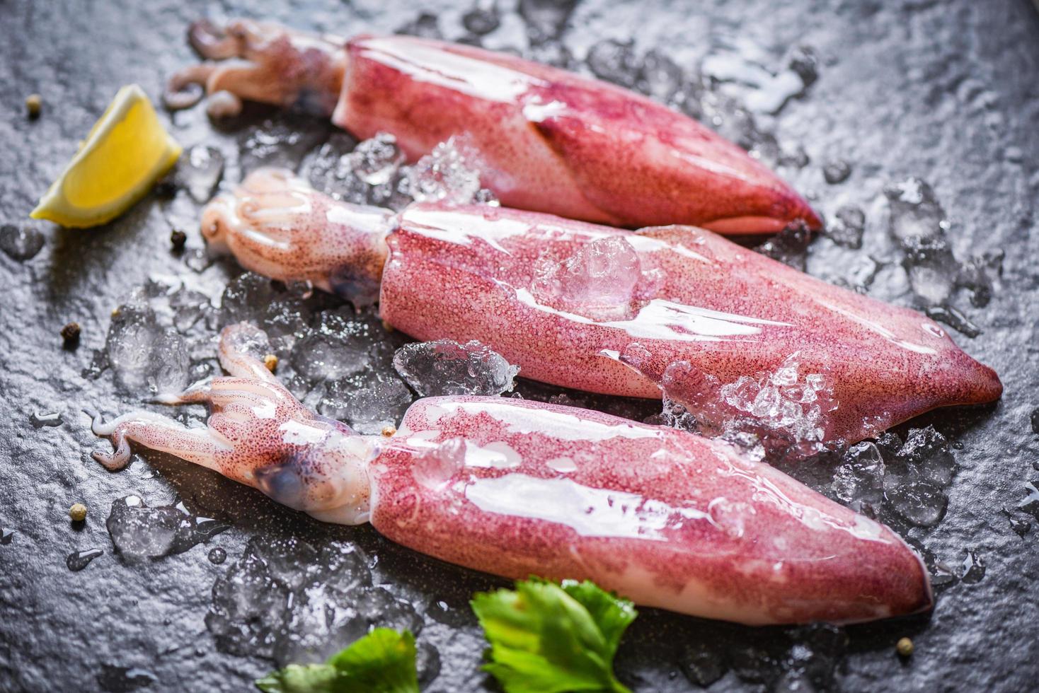Calamares crudos sobre hielo con limón en el plato oscuro mercado de mariscos - calamares frescos pulpo o sepia para comida cocinada restaurante de ensaladas foto