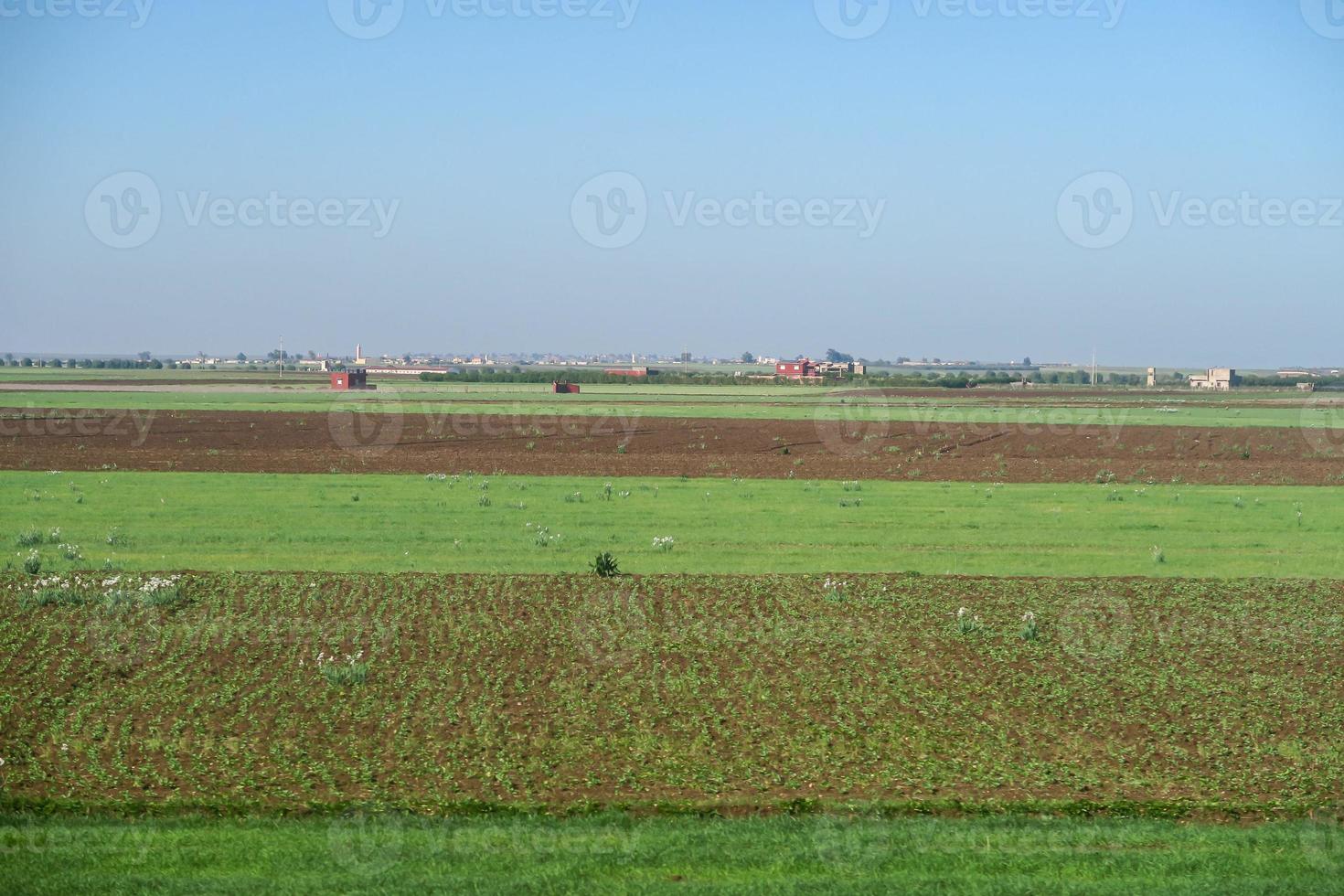 Landscape field view photo