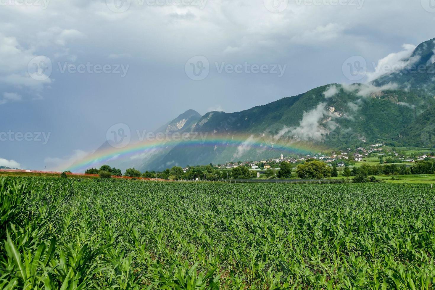 Rainbow across a field photo