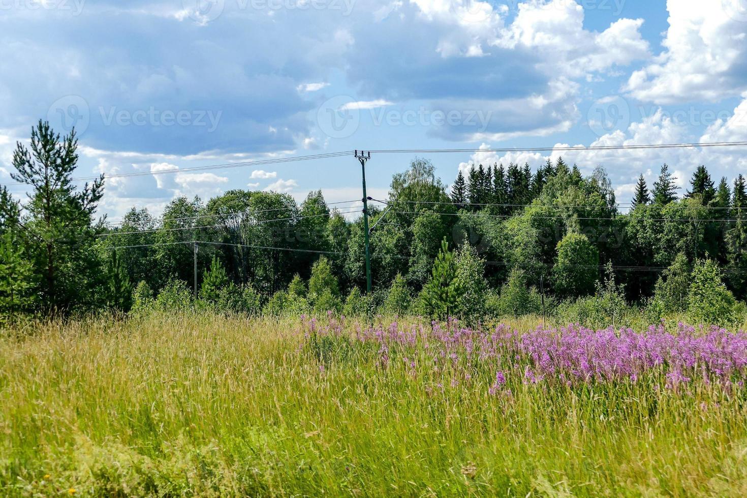 Field with blue sky photo